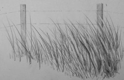 วิธีการวาดดินสอหญ้า